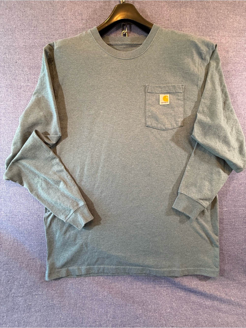 Carhartt Long-Sleeve Pocket Tee in Blue